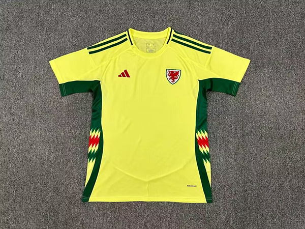 AAA Quality Wale 2024 Euro Away Yellow Soccer Jersey